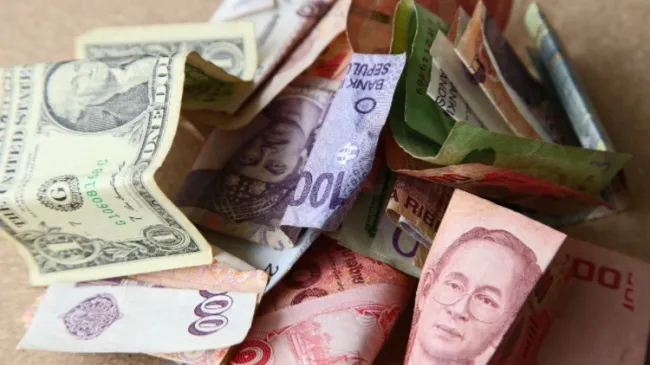 various paper monies